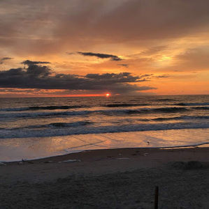 Meet your Posher, Antonio